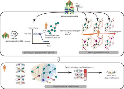 Network Control Models With Personalized Genomics Data for Understanding Tumor Heterogeneity in Cancer